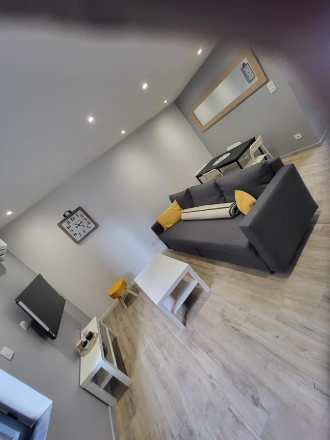 Appartement Entierement Renove A Neuf 101 Saint-Etienne  Zewnętrze zdjęcie