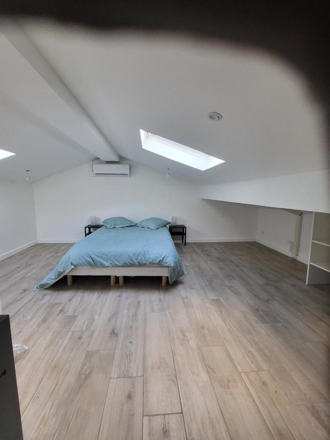 Appartement Entierement Renove A Neuf 101 Saint-Etienne  Zewnętrze zdjęcie