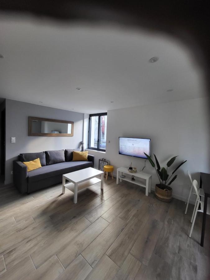 Appartement Entierement Renove A Neuf 101 Saint-Etienne  Zewnętrze zdjęcie